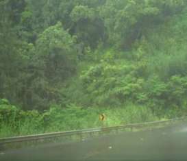 بارش بهاری مهمان مازندرانی ها