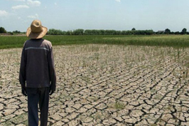 پایان دی زمان تعیین تکلیف بازگشایی زاینده رود پایان دی زمان تعیین تکلیف بازگشایی زاینده رود