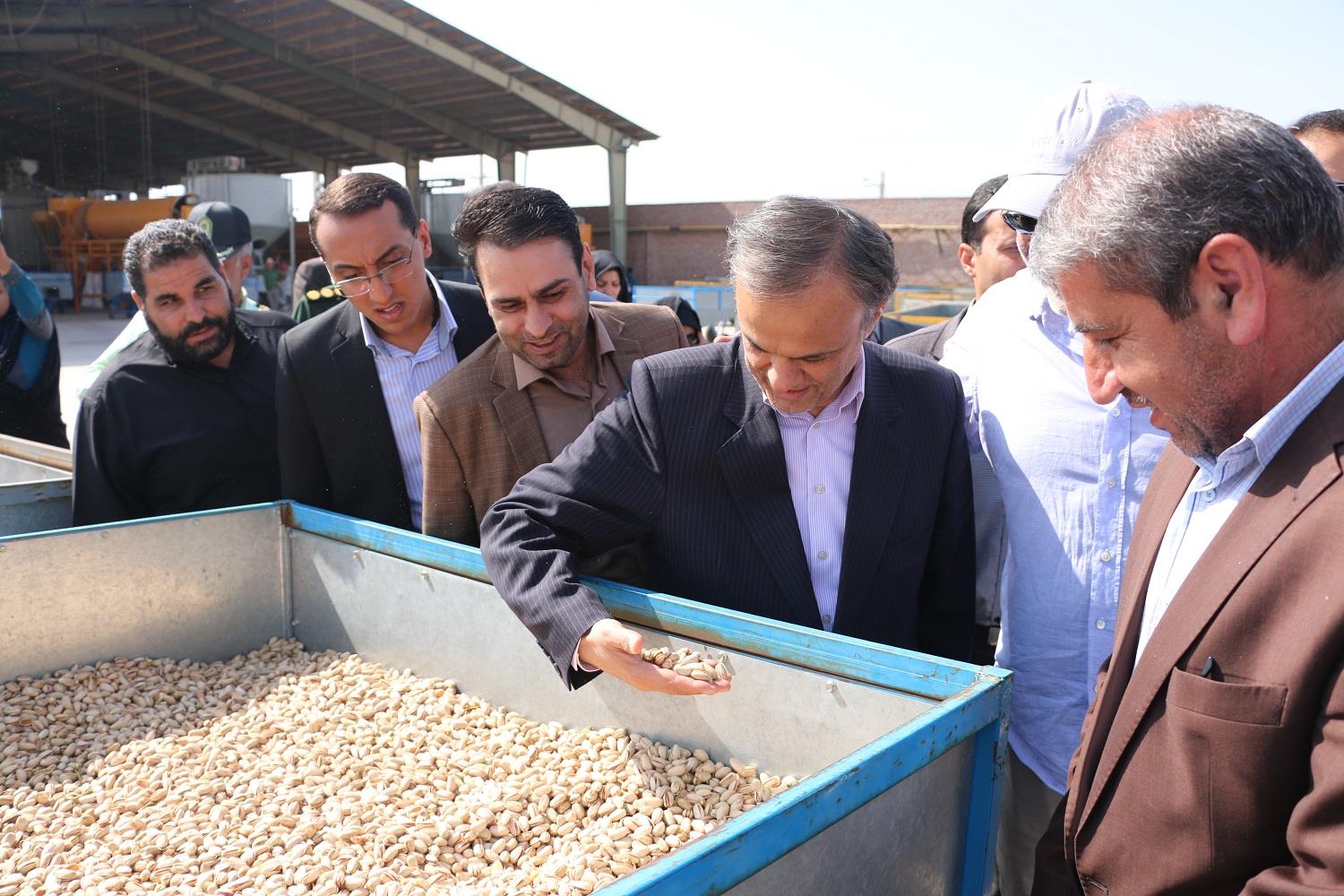 استاندار کرمان:ثروت حاصل از پسته به استان باز گردد