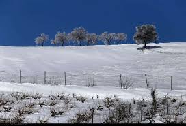 بدرانلو پربارش ترین نقطه خراسان شمالی