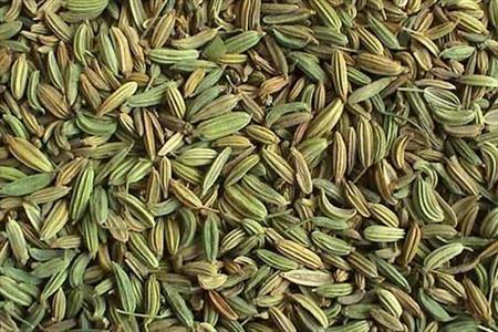 افزایش تولید زیره در سبزوار