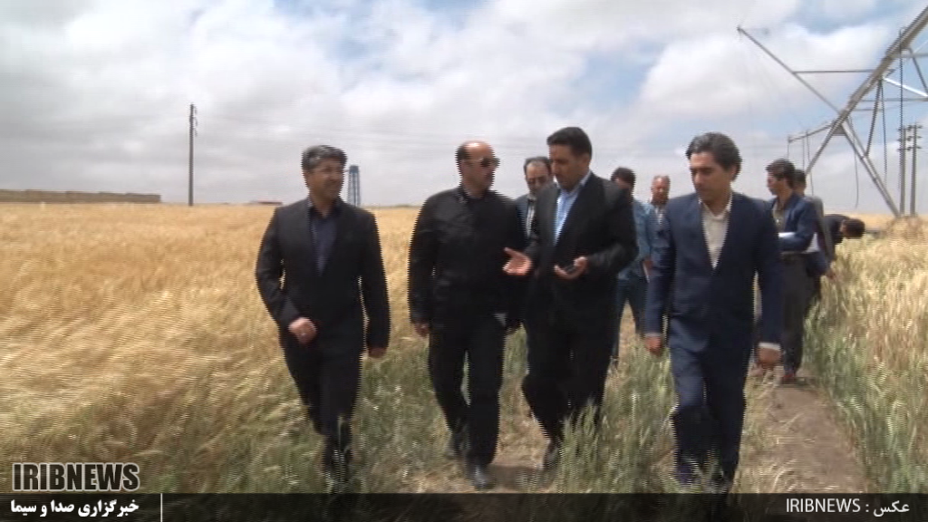 حمایت دولت از طرح آبیاری نوین در جعفرآباد