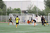 32 ورزشکار دعوت شدند 32 ورزشکار دعوت شدند