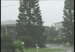 جوی آرام , گاهی باد و باران