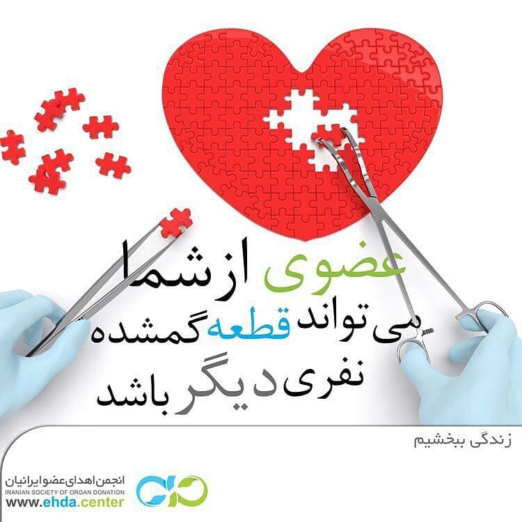سلام زندگی//لطفا منتشر نشود سلام زندگی//لطفا منتشر نشود