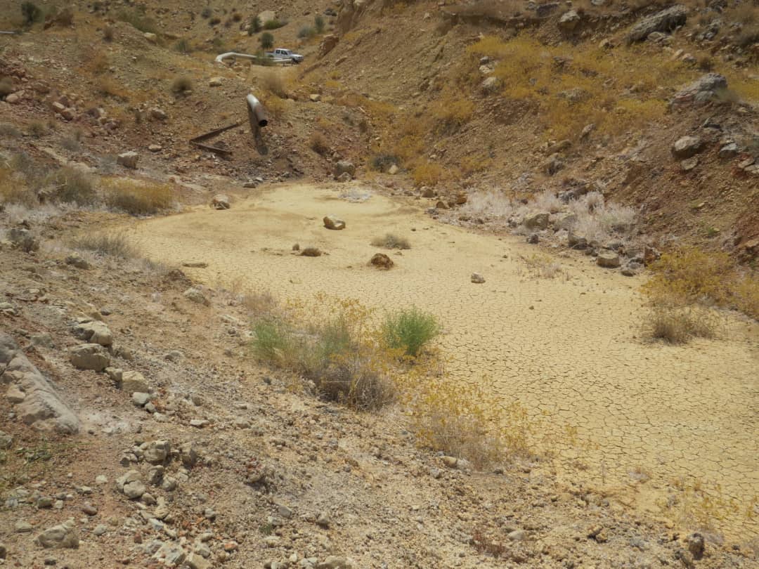 شکایت محیط زیست از یک شرکت نفتی در مراجع قضایی