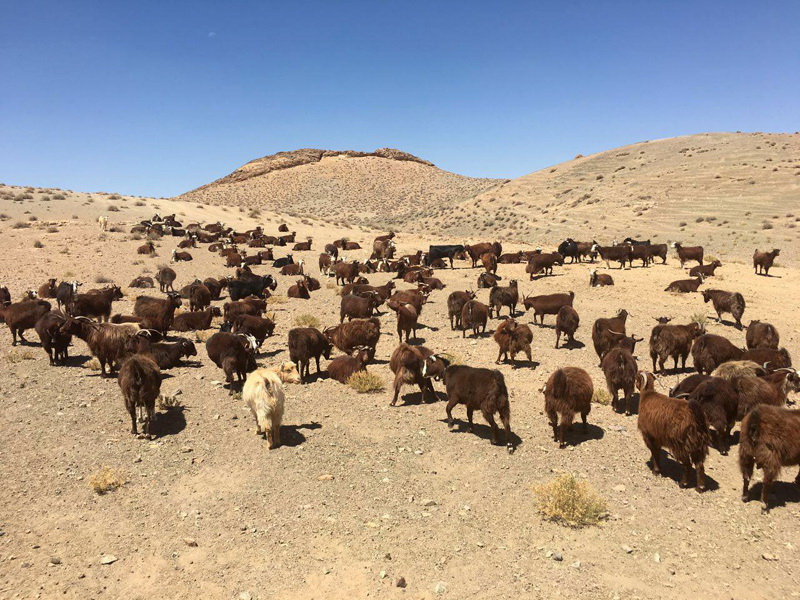 ندوشن، روستای لبنی استان یزد