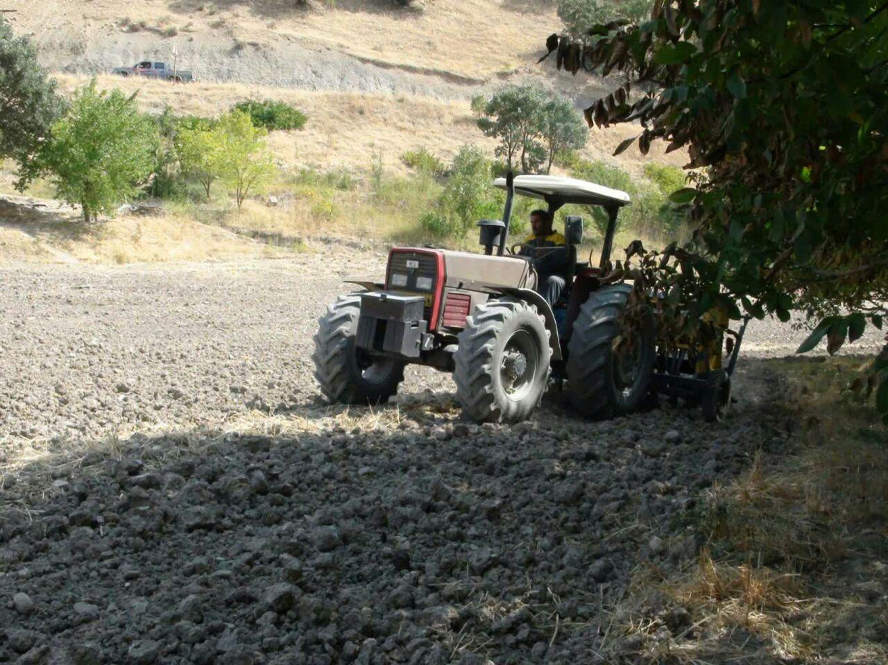 آغاز کشت کلزا در مزارع جوانرود