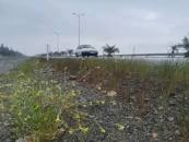 محورهای جنوب کرمان بارانی ونیاز به احتیاط بیشتر محورهای جنوب کرمان بارانی ونیاز به احتیاط بیشتر