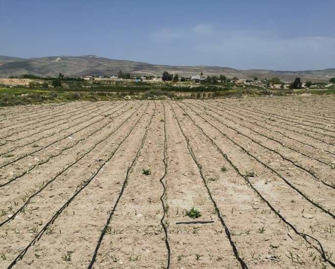 جهش تولید با آبیاری نوین جهش تولید با آبیاری نوین