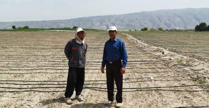 جهش تولید با آبیاری نوین جهش تولید با آبیاری نوین