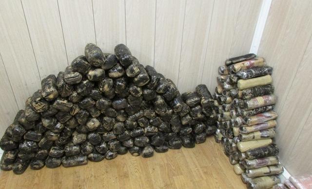 کشف حشیش از بار خرما