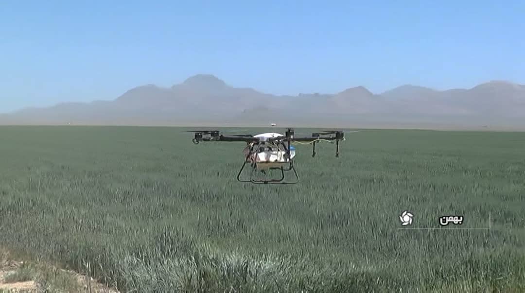 سمپاشی مزارع گندم بهمن با استفاده از پهپاد ---جمعه سمپاشی مزارع گندم بهمن با استفاده از پهپاد ---جمعه