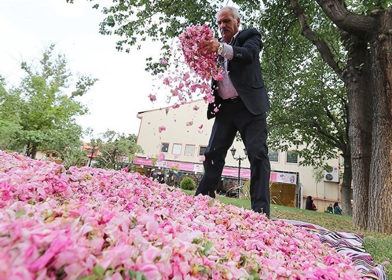 منشاد، قطب گل محمدی استان یزد