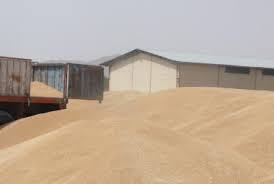 خرید تضمینی ۶۲ هزار تن گندم از کشاورزان اسلام آبادی خرید تضمینی ۶۲ هزار تن گندم از کشاورزان اسلام آبادی