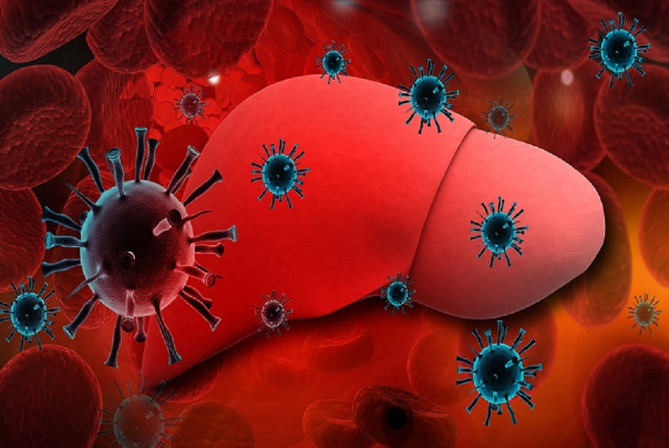 کرونا و تاثیر آن بر بیماری های کبدی