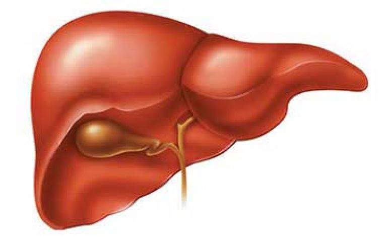 کرونا و تاثیر آن بر بیماری های کبدی