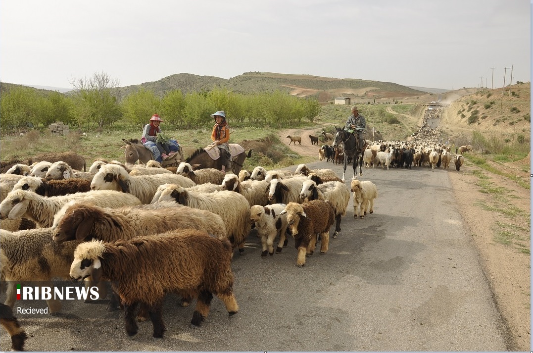 آغاز کوچ بهاره عشایر فارس