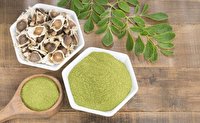 گیاه مورینگا اولیفرا ، معجزه طبیعت
