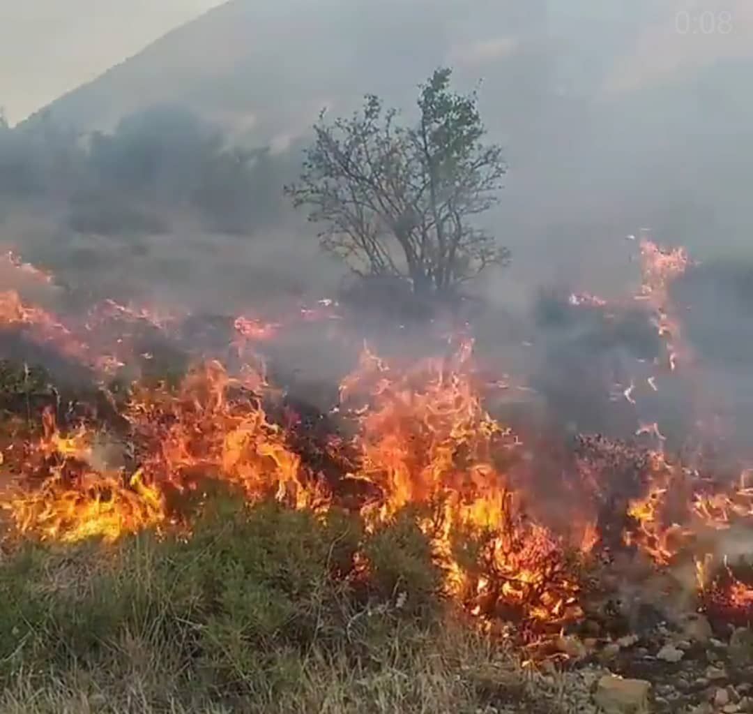 مهار اتش سوزی در شهرستان فسا