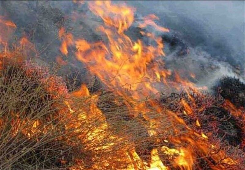 آتش در ارتفاعات ممسنی همچنان زبانه می‌کشد