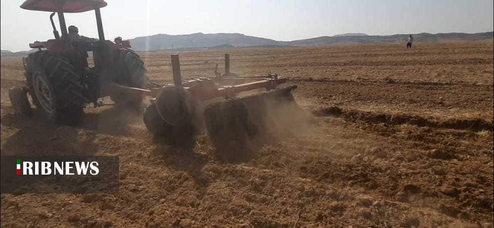 انعقاد گندم قراردادی در شهرستان هفتکل