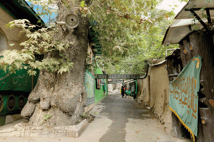 ابلاغ ثبت ملی ۷ میراث طبیعی به استاندار تهران ابلاغ ثبت ملی ۷ میراث طبیعی به استاندار تهران