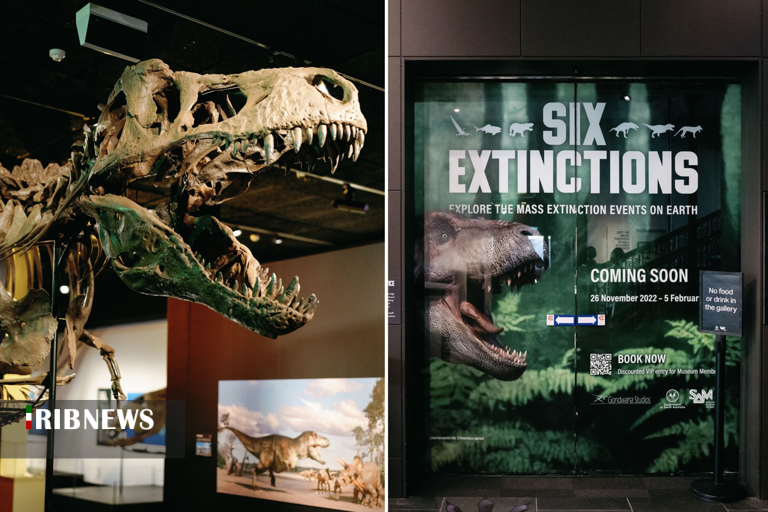 فسیل تمساح شاخ دار