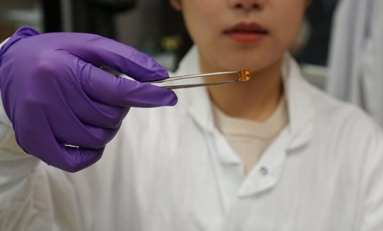 ترمیم غضروف‌های آسیب دیده به کمک ژل زیست تخریب پذیر