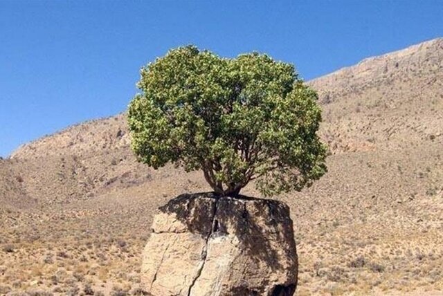 ثبت ملی ۲ اثر طبیعی  فارس