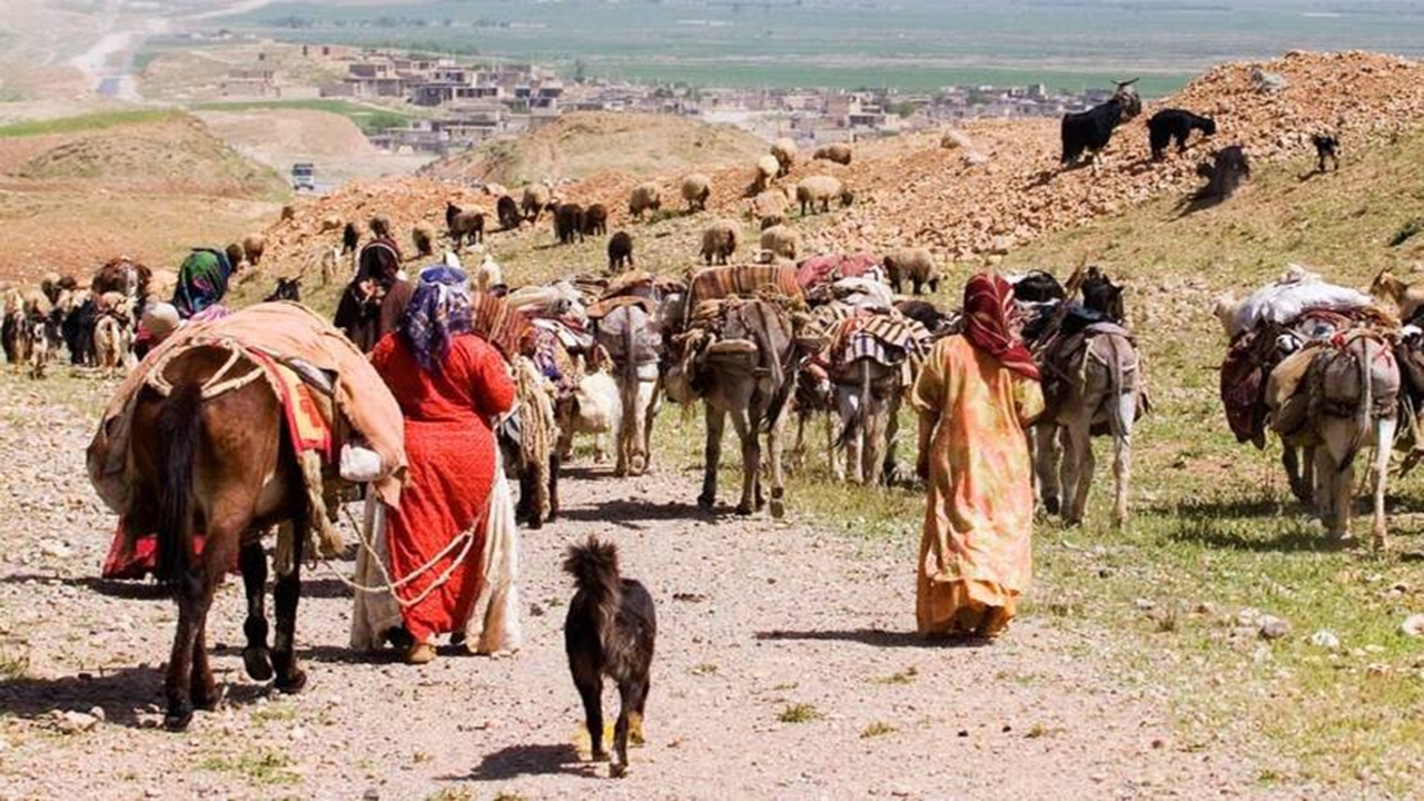 ورود دام به مراتع قشلاقی، قبل از پانزدهم آبان ممنوع است