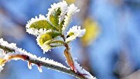 یخ بندان و سرمای شدید در راه زنجان