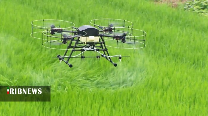 رشد چشمگیر فعالیت واحدهای فناور بخش کشاورزی در قم رشد چشمگیر فعالیت واحدهای فناور بخش کشاورزی در قم