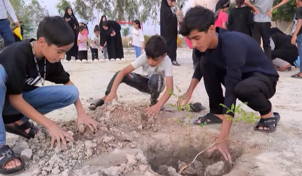 تولید و کاشت نهال در استان بوشهر با کمک روستائیان