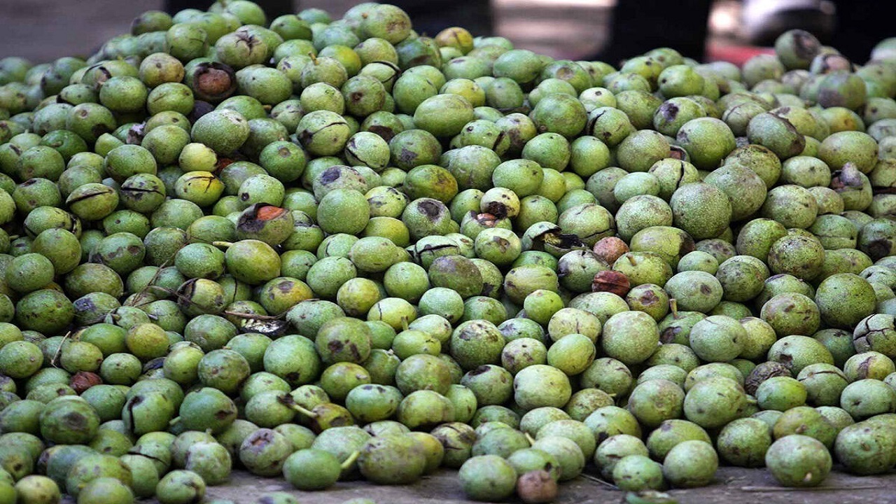 ممنوع شدن خرید و فروش گردو در رابر