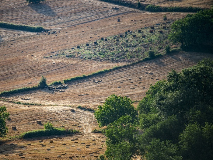 آغاز کشت پاییزه غلات در پیرانشهر