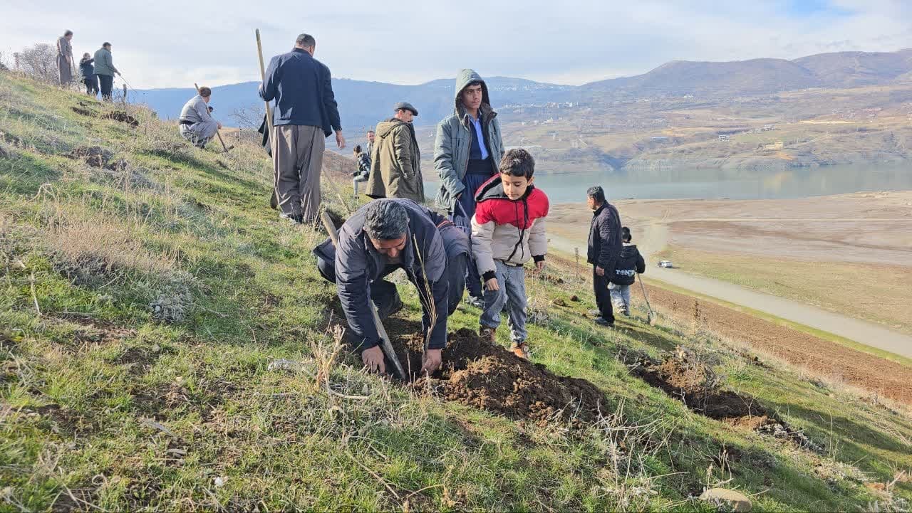 کاشت نهال و بذر به مناسبت روز مادر در سردشت کاشت نهال و بذر به مناسبت روز مادر در سردشت