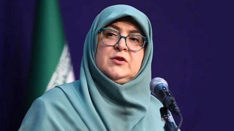 سخنگوی دولت: نباید امور کشور به گفتوگوها گره بخورد سخنگوی دولت: نباید امور کشور به گفتوگوها گره بخورد