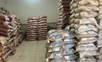 کشف بیش از ۴۷ تن برنج قاچاق توسط یگان‌های ویژه فراجا