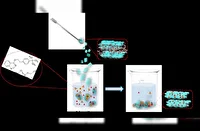 موفقیت پژوهشگر دانشگاه تهران در سنتز نانوکامپوزیت‌های نوین برای حذف آفت‌کش‌ها