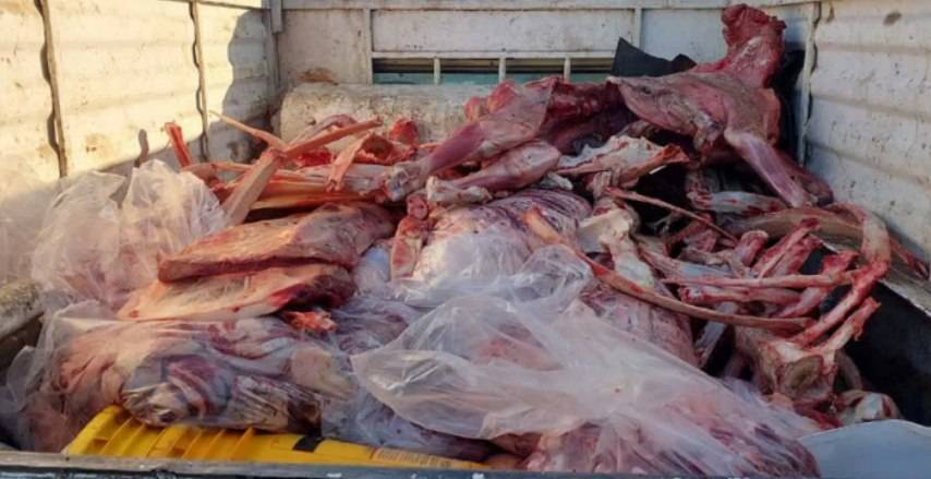 کشف و توقیف ۳۲۶ کیلوگرم گوشت قرمز غیر بهداشتی