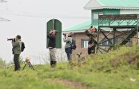 آغاز سرشماری پرندگان مهاجر آبزی با مشارکت داوطلبان در گیلان