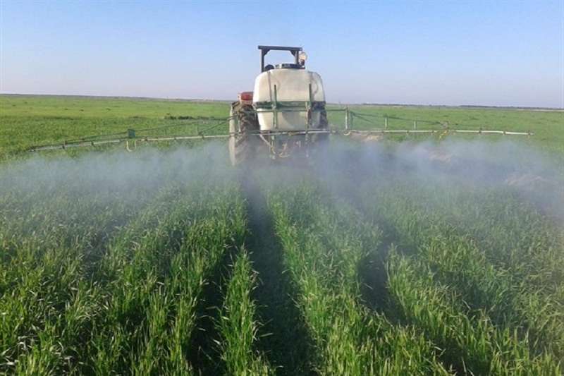 مبارزه با علفهای هرز در مزارع گندم و جو فارس مبارزه با علفهای هرز در مزارع گندم و جو فارس