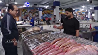 سفر به بازار ماهی فروشان بندرعباس