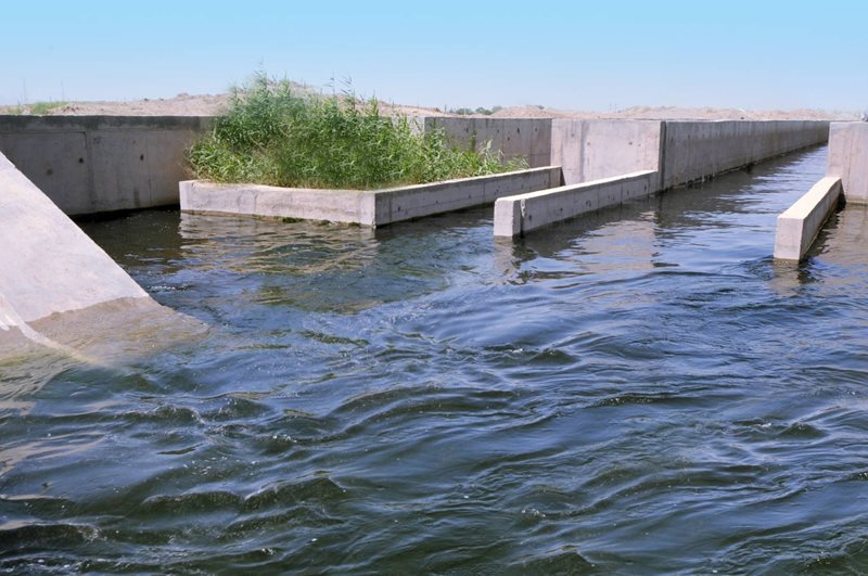 پساب جایگزین مصارف متعارف در آبیاری فضای سبز تهران پساب جایگزین مصارف متعارف در آبیاری فضای سبز تهران