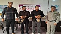 تحویل دو بهله سارگپه به محیط زیست شهرستان رومشکان