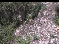 مصرف پلاستیک، بلای جان محیط زیست
