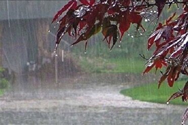 بارش های رگباری و سیلابی شدن مسیلها