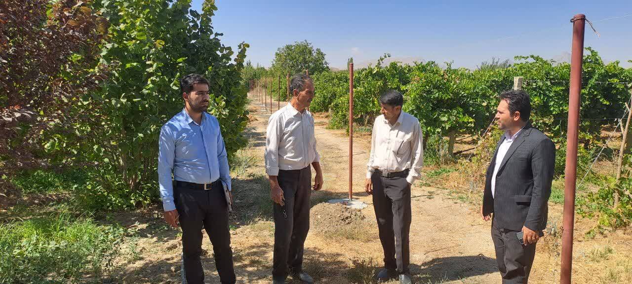 توسعه پایدار کشاورزی ارومیه با حمایت بنیاد برکت و استفاده از تسهیلات آب و خاک