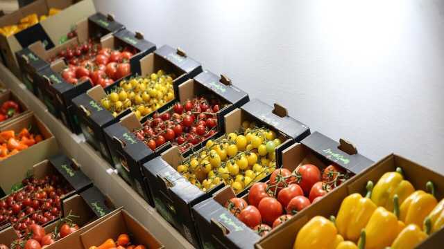 مبادله بیش از ۴۴۵ هزار تن محصولات کشاورزی از مراکز قرنطینه نباتی آذربایجان‌غربی